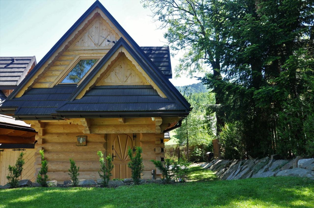 Baran, Domek Z Widokiem Na Giewont Закопане Экстерьер фото